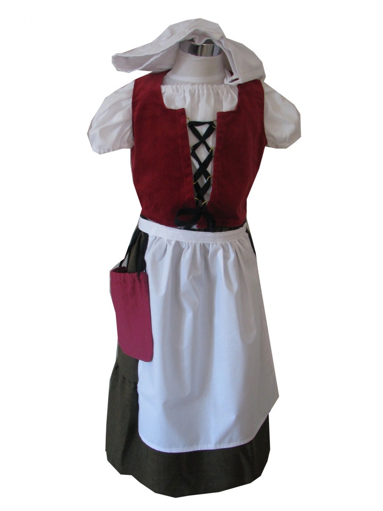 Girls Tudor Costume Age 6 - 9 Years Image
